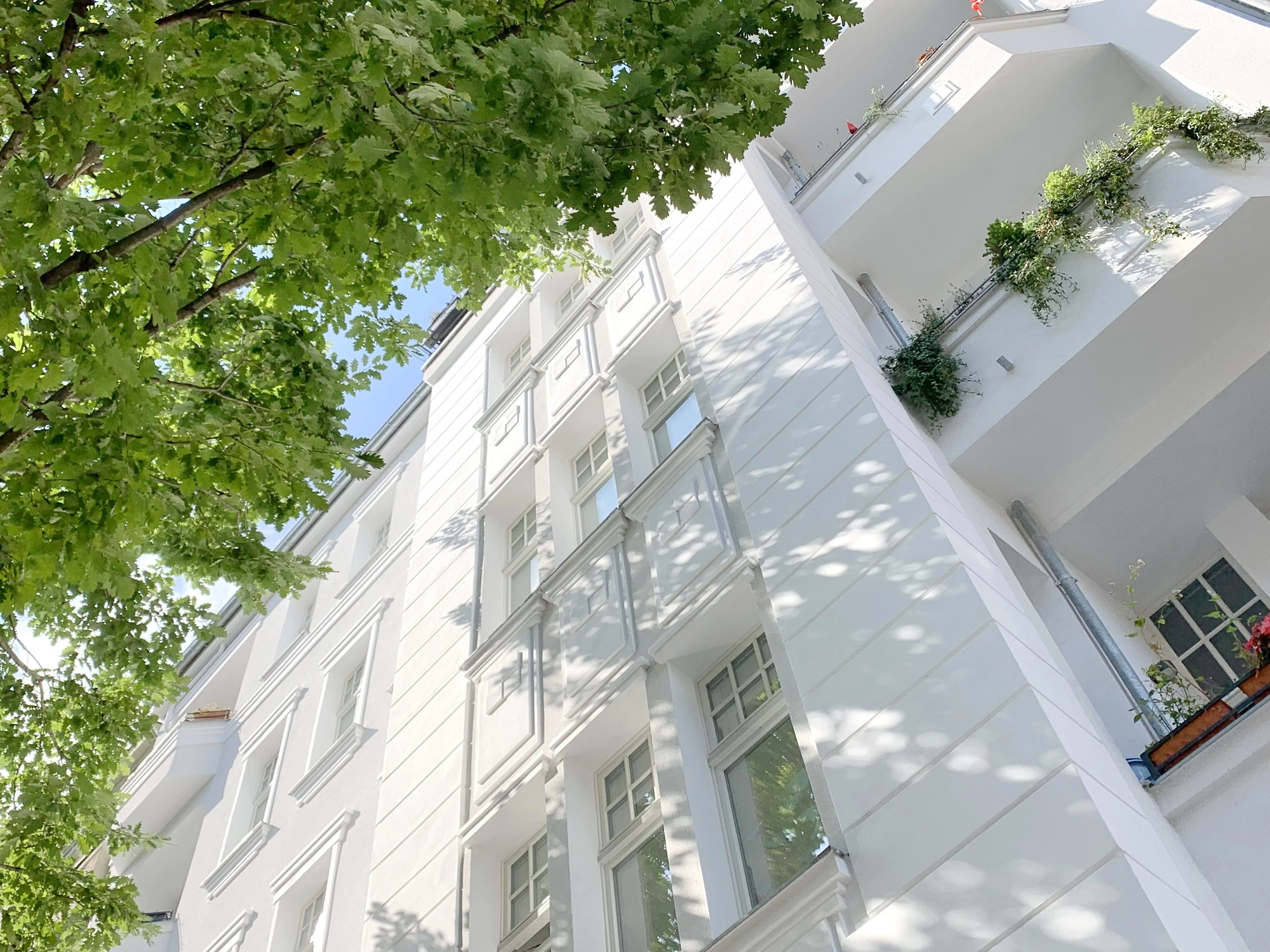 Detail straßenseitige Fassade (3)